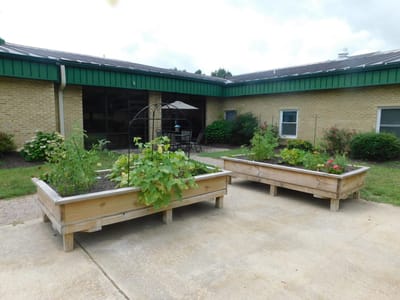 Outdoor garden area with raised plant beds