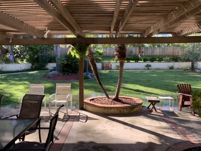 Covered outdoor seating area with palm trees and lawn