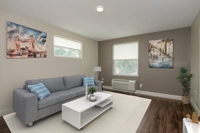 Bright, modern living room interior with art