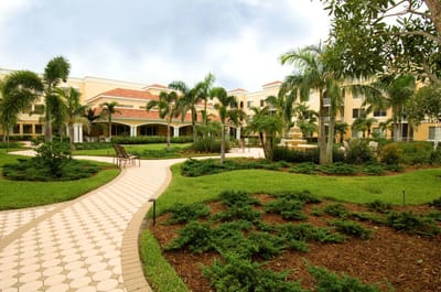 Pathway through a beautifully landscaped garden area
