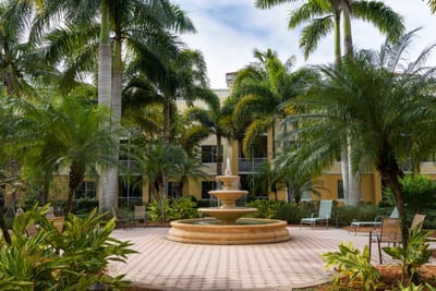 Outdoor space with a fountain surrounded by palm trees