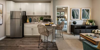 Modern kitchen in an assisted living apartment