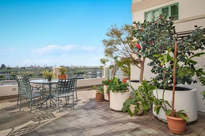Patio area with plants and outdoor seating