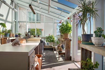 Bright greenhouse with potted plants