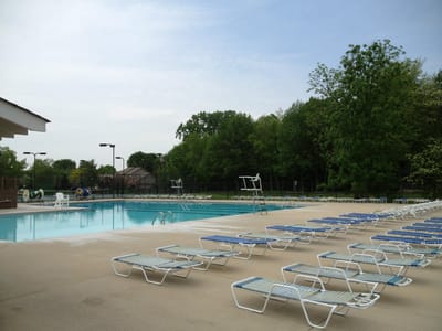 Outdoor pool area with lounge chairs and trees
