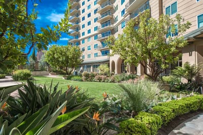 A landscaped outdoor area with plants and a building in background