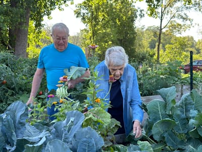 Elderly couple gardening in a vibrant outdoor space