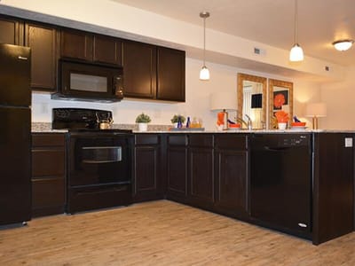 Modern kitchen with dark cabinets and appliances