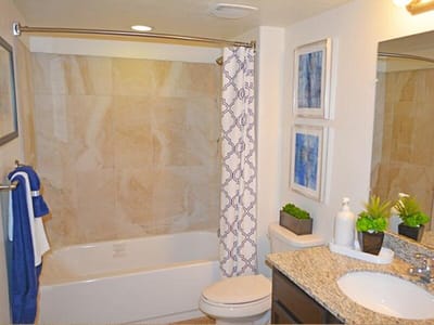 Modern bathroom interior with tub and decor
