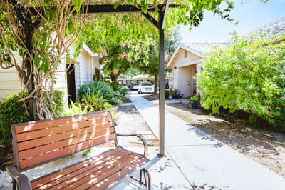 Outdoor walkway with garden and seating area