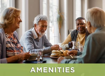 Residents enjoying a meal together in the dining area