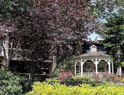 A gazebo surrounded by flowers in a garden