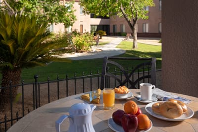 Outdoor dining setup with fruits and drinks