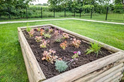 Raised garden bed with colorful flowers in an outdoor space