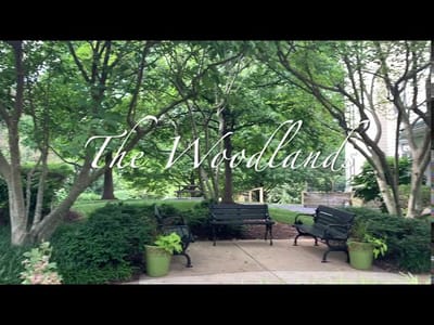 Garden space with benches and greenery