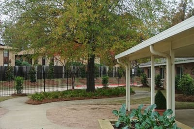 Outdoor space with greenery and pathways