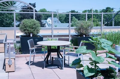 Outdoor seating area with plants and table