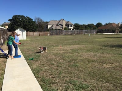 Residents enjoying time in an outdoor space with a dog