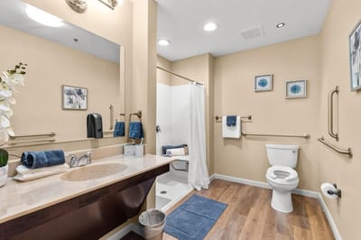 A well-maintained bathroom with accessible features