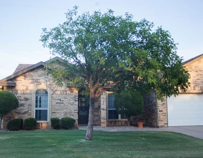 Exterior view of a residential building surrounded by greenery