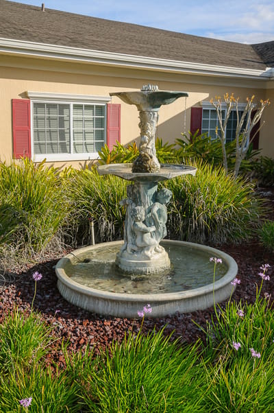 Outdoor fountain surrounded by greenery