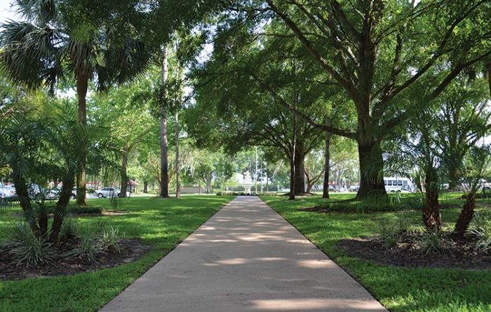 Pathway through a landscaped outdoor area with trees