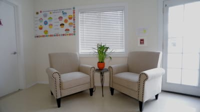 Cozy seating area with two armchairs and a plant