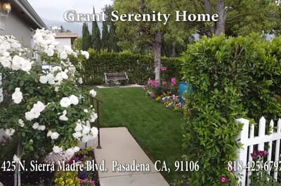 Outdoor garden with colorful flowers and greenery