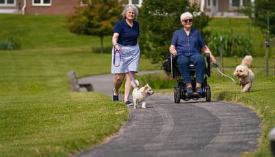 Residents walking dogs on a scenic pathway