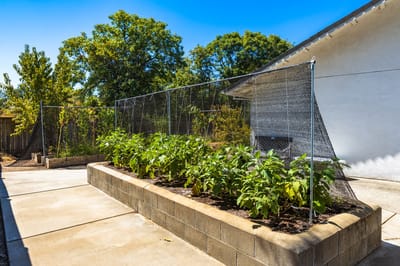 Vegetable garden surrounded by fencing in an outdoor area