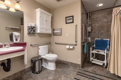 Accessible bathroom with grab bars and shower chair