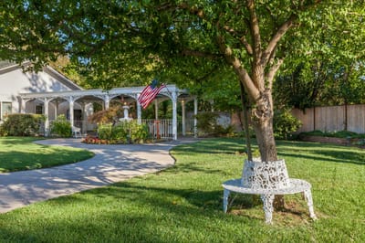 Beautiful outdoor space with a tree and walkway