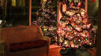 A decorated Christmas tree in a common area