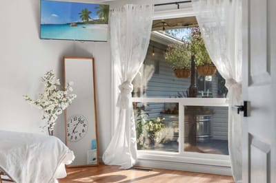 Bright interior view with natural light and greenery