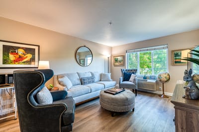 Bright living room with comfortable seating and decor