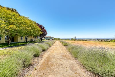 Pathway leading through landscaped outdoor space