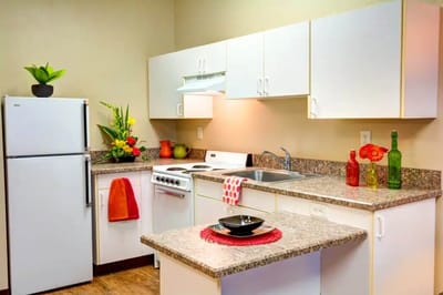 Bright kitchen with modern appliances and decorative plants