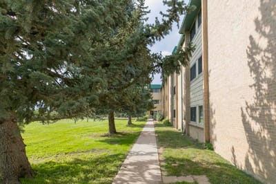 Pathway through green space leading to the building