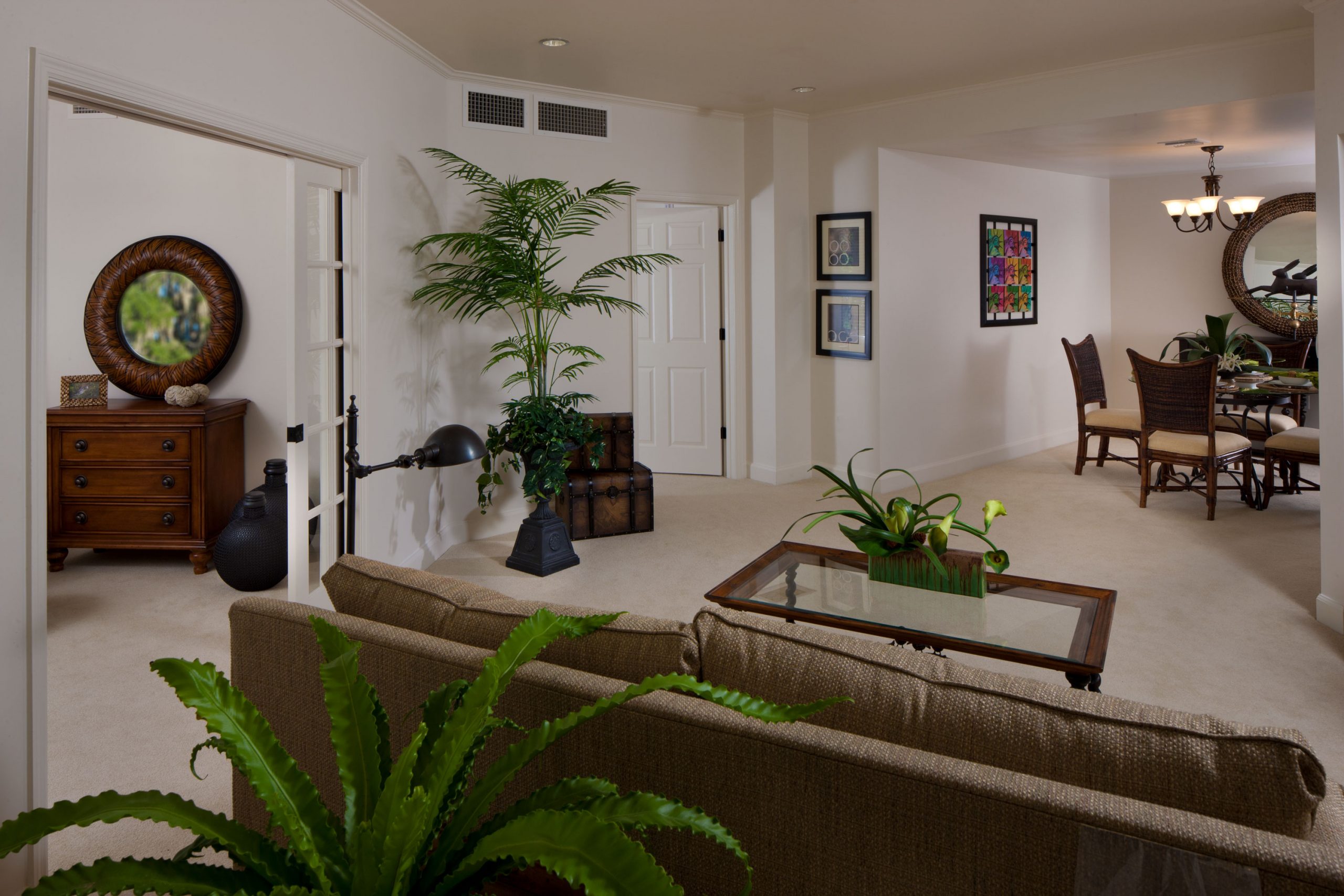Bright interior living space with plants and art