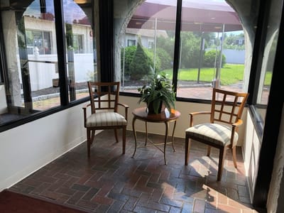 Seating area with chairs and a plant near large windows