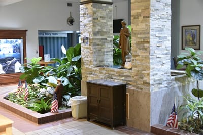 Indoor common area with plants and decorations