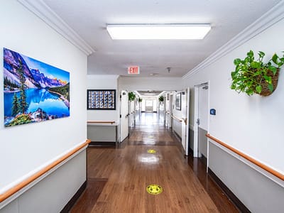 Bright hallway with artwork and plants