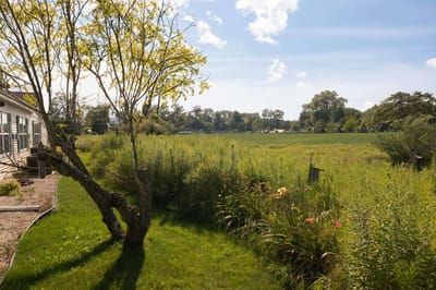 View of a landscaped outdoor space with trees and flowers