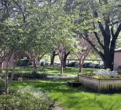 Lush garden area with trees and flower beds