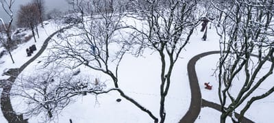 Snow-covered park with winding paths and trees