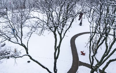 Aerial view of snow-covered outdoor space with trees.