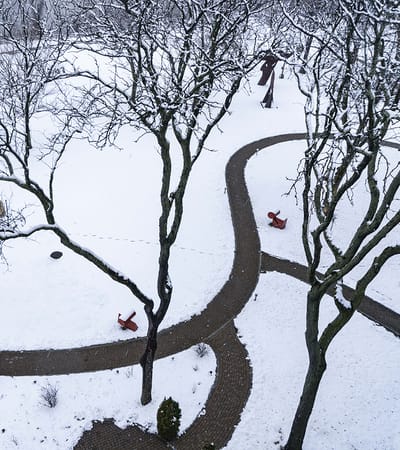 Snow-covered outdoor path and trees in a garden