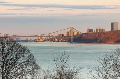 View of a bridge and skyline by the water