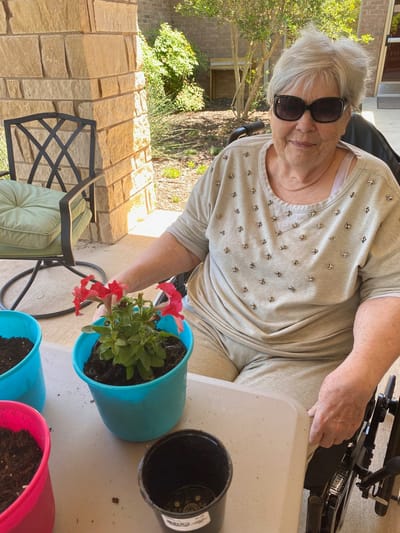 Senior woman gardening with colorful flower pots.