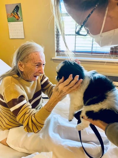 Elderly woman interacting with a cat in a room.